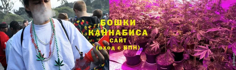 Бошки марихуана THC 21%  Заречный 